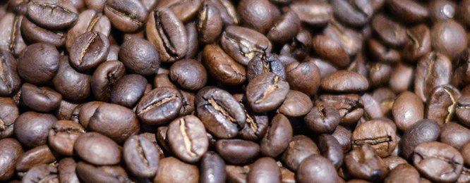 Kaffee­maschinen bei Elektrotechnik Gernandt in Eisenach / Neukirchen